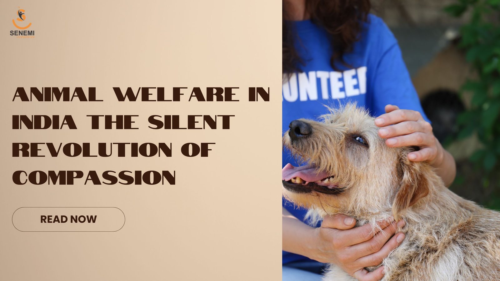 Animal Welfare in India: The Silent Revolution of Compassion