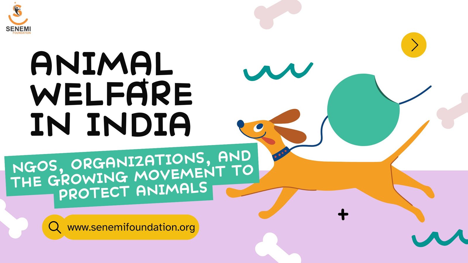 Animal Welfare in India: NGOs, Organizations, and the Growing Movement to Protect Animals Animal Welfare in India: NGOs, Organizations, and the Growing Movement to Protect Animals