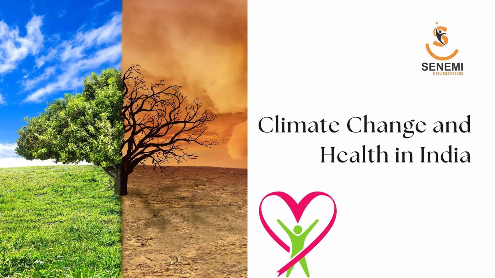 Climate Change and Health in India