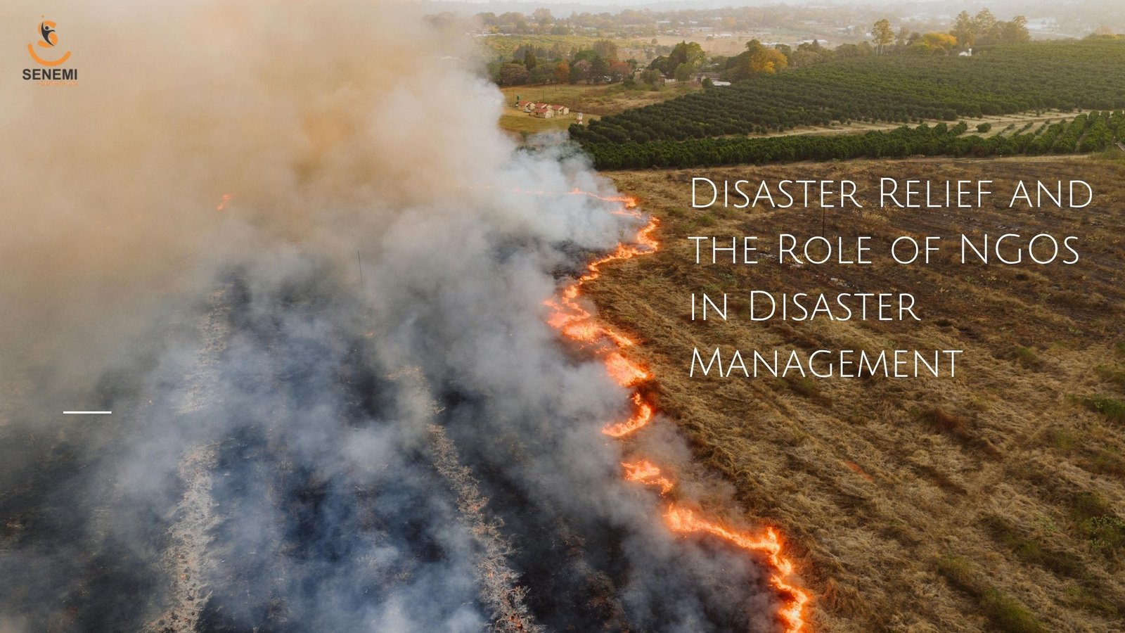 Disaster Relief and the Role of NGOs in Disaster Management Disaster Relief and the Role of NGOs in Disaster Management