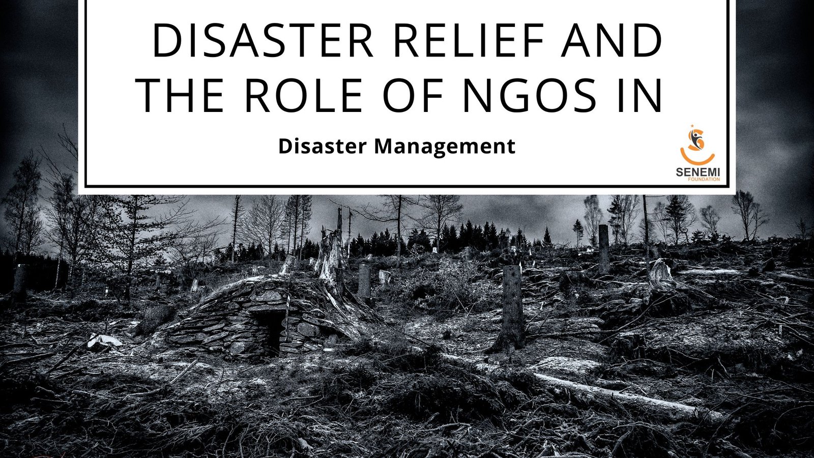 Disaster Relief and the Role of NGOs in Disaster Management