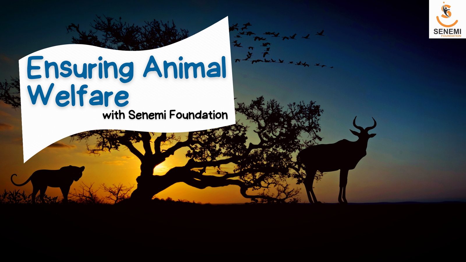Ensuring Animal Welfare with Senemi Foundation Ensuring Animal Welfare with Senemi Foundation